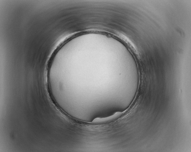 X0000116681376201001041140