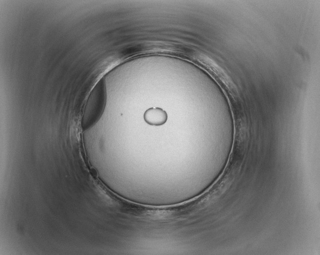 X0000116681377201001041140