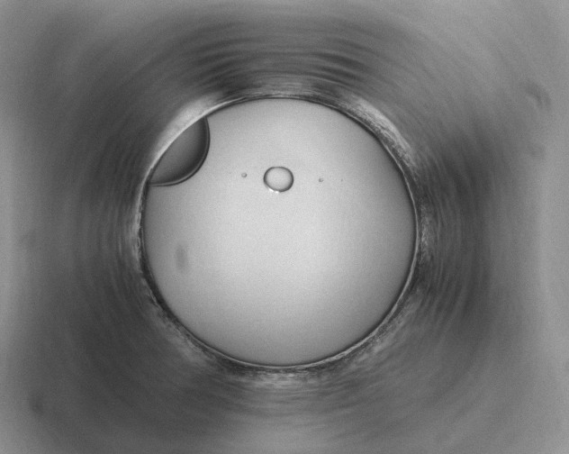 X0000116681378201001041140