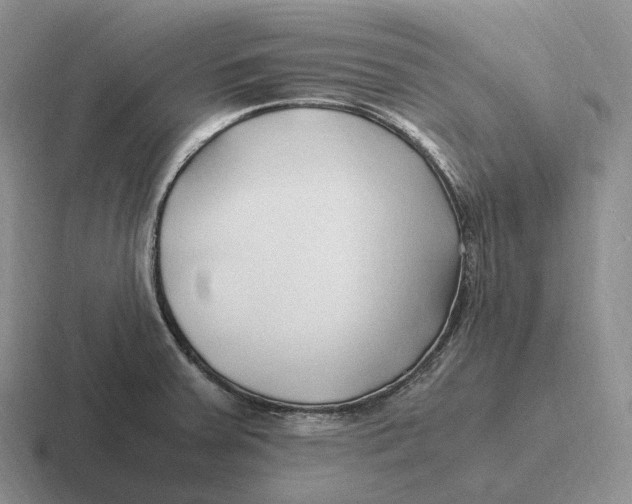 X0000116681379201001041140