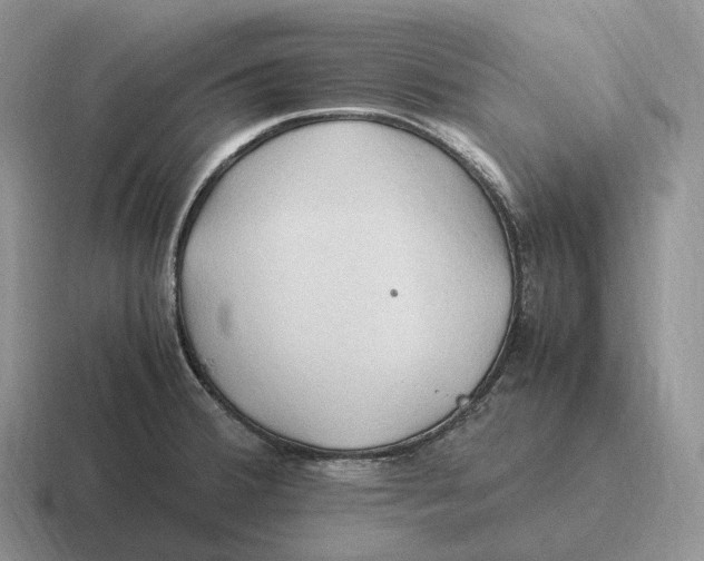 X0000116681380201001041140