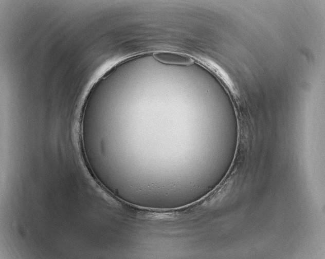 X0000116681381201001041140