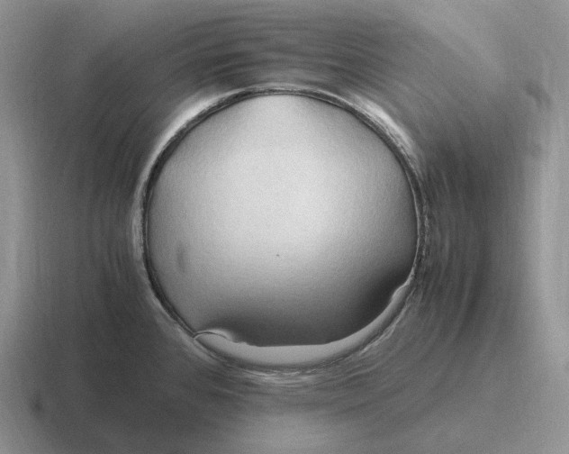 X0000116681384201001041140