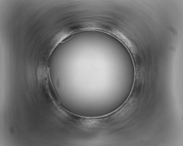 X0000116681385201001041140