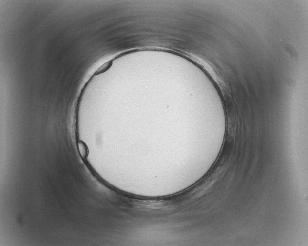 X0000116681387201001041140