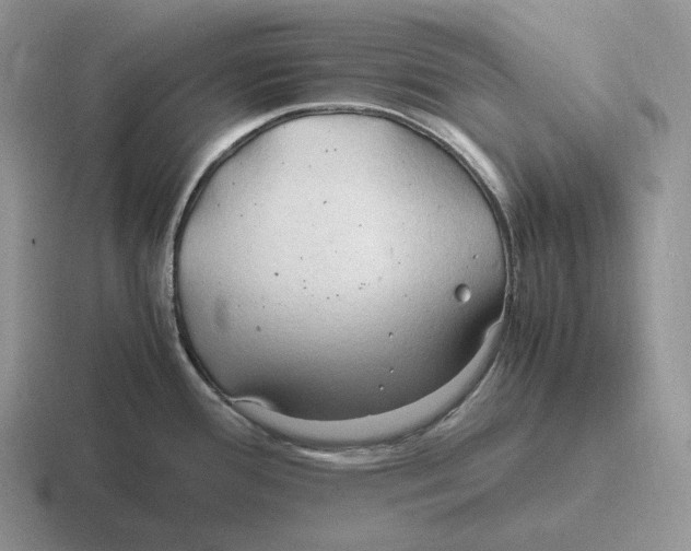 X0000116681388201001041140