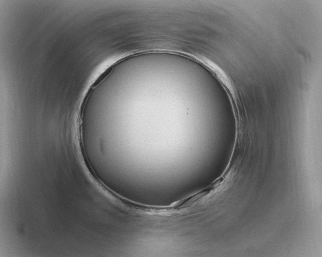 X0000116681389201001041140