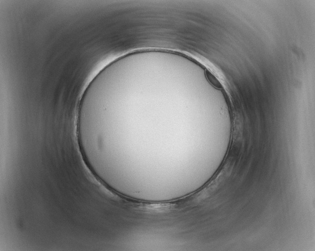 X0000116681390201001041140