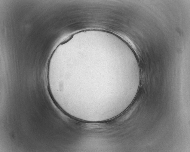 X0000116681391201001041140