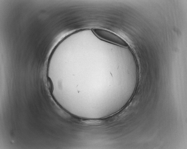 X0000116681392201001041140