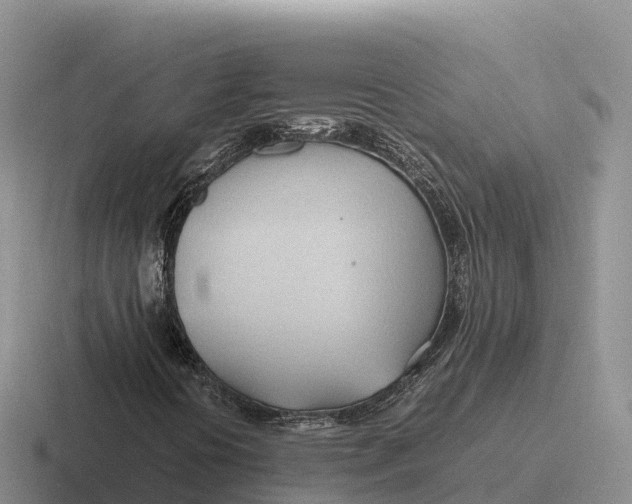 X0000116681394201001041139