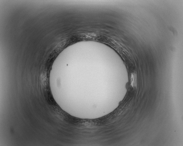 X0000116681395201001041140