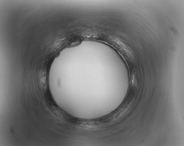 X0000116681396201001041140