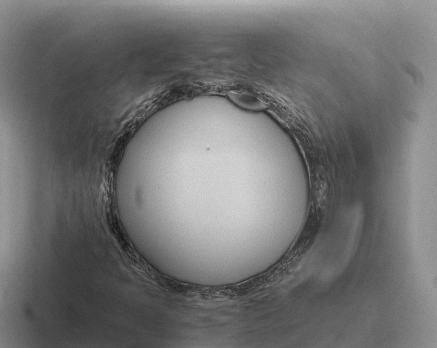 X0000116681397201001041140