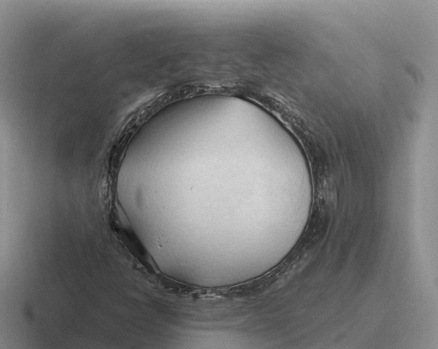 X0000116681398201001041140