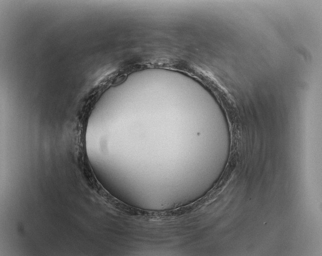 X0000116681399201001041140