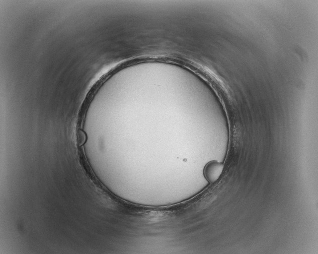 X0000116681412201001041140