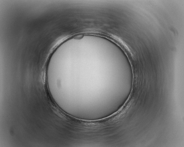 X0000116681413201001041140