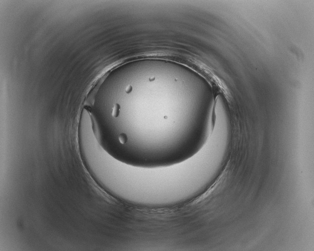 X0000116681417201001041140