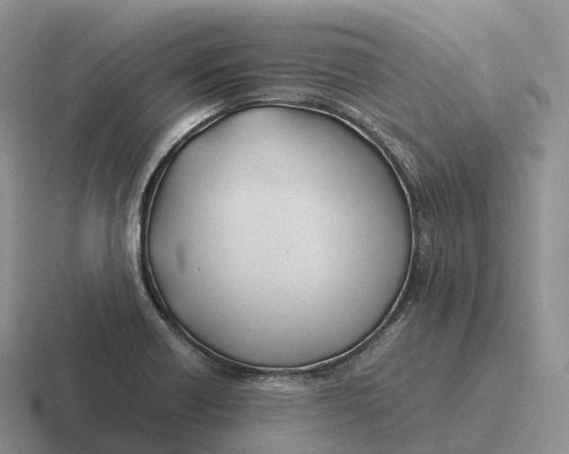 X0000116681418201001041140