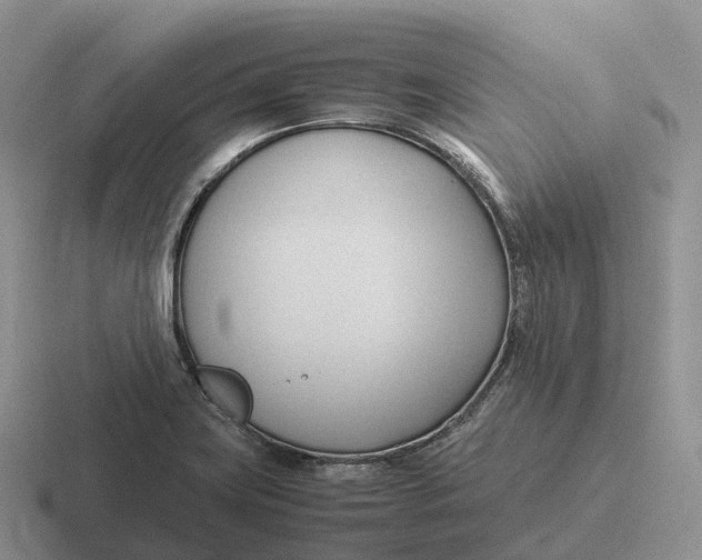 X0000116681419201001041140