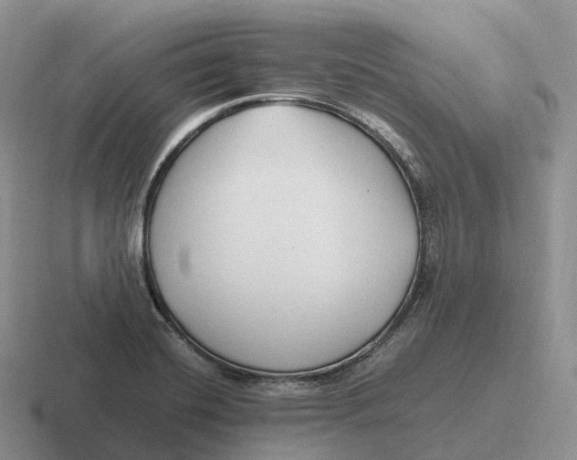 X0000116681420201001041140