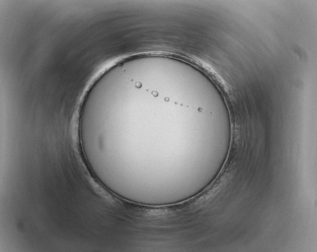 X0000116681421201001041140