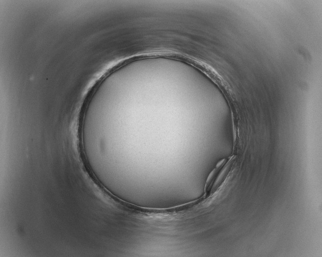 X0000116681422201001041140