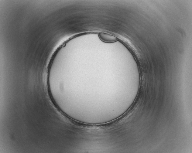 X0000116681424201001041140