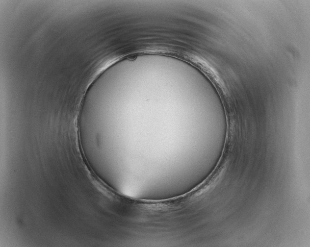 X0000116681425201001041140