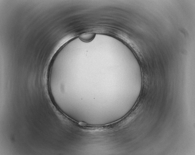 X0000116681426201001041140