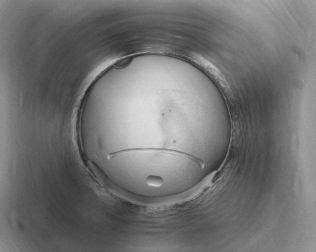 X0000116681427201001041140