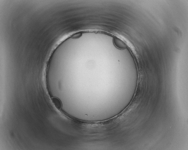 X0000116681429201001041140