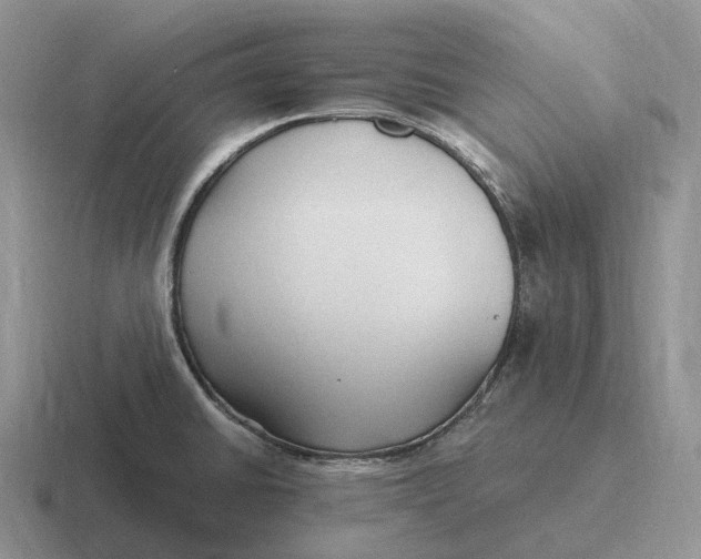 X0000116681430201001041140