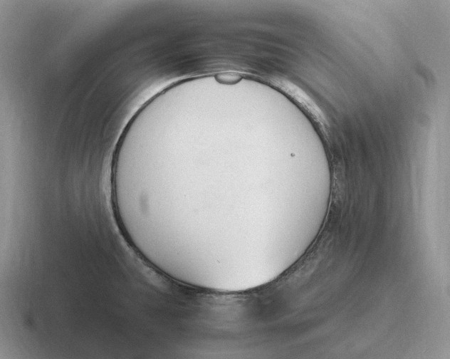 X0000116681431201001041140