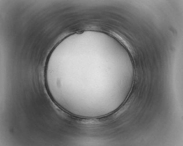 X0000116681434201001041140