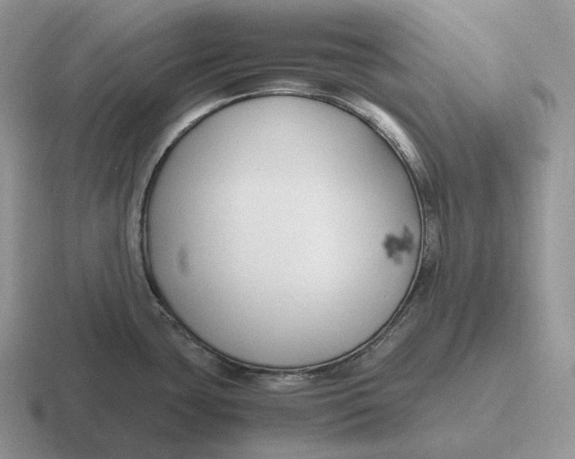 X0000116681435201001041140