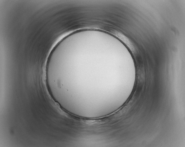 X0000116681436201001041140