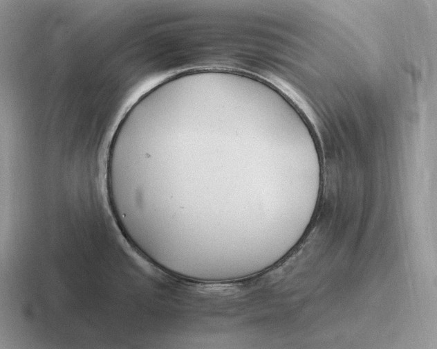 X0000116681437201001041140