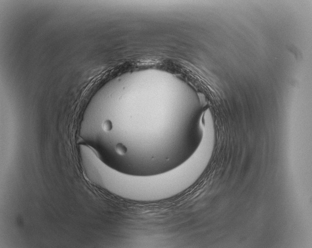 X0000116681441201001041139