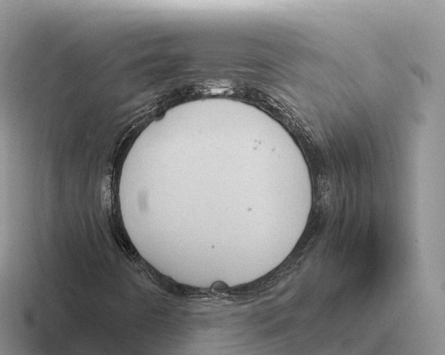 X0000116681442201001041139