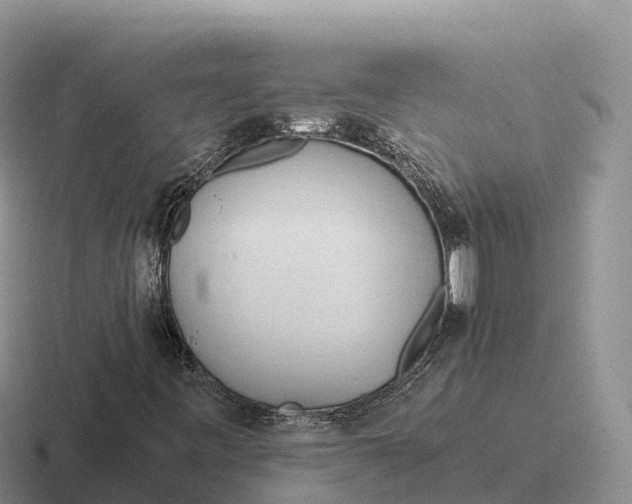 X0000116681443201001041139