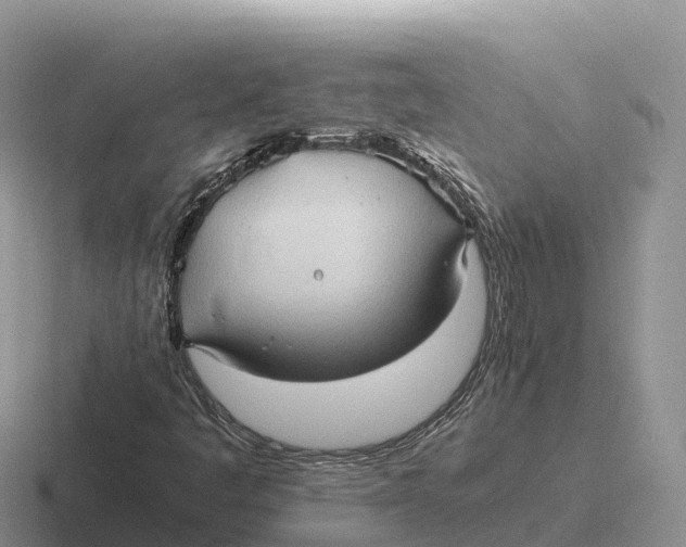 X0000116681445201001041139