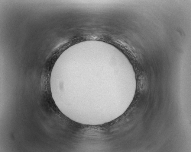 X0000116681446201001041139