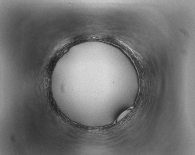 X0000116681447201001041139