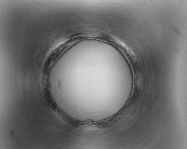 X0000116681448201001041139