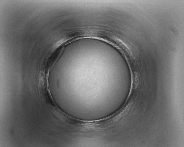 X0000116681449201001041139