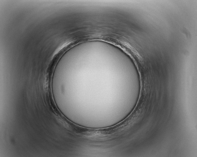 X0000116681450201001041139