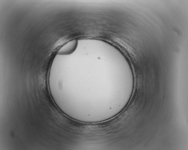 X0000116681451201001041139