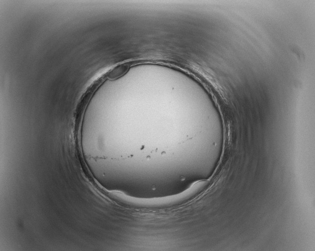 X0000116681452201001041139